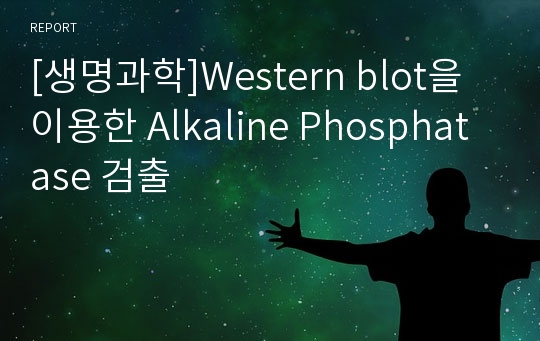 [생명과학]Western blot을 이용한 Alkaline Phosphatase 검출