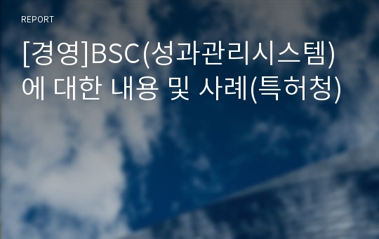 [경영]BSC(성과관리시스템)에 대한 내용 및 사례(특허청)