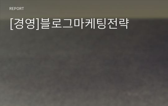 [경영]블로그마케팅전략