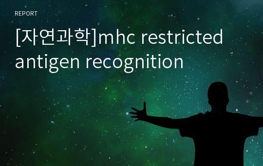 [자연과학]mhc restricted antigen recognition