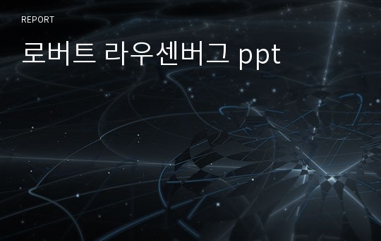 로버트 라우센버그 ppt