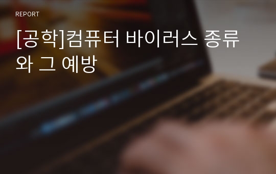 [공학]컴퓨터 바이러스 종류와 그 예방