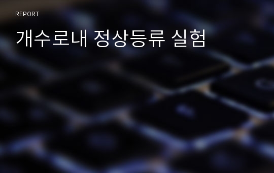 개수로내 정상등류 실험