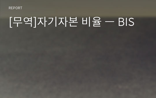 [무역]자기자본 비율 ㅡ BIS