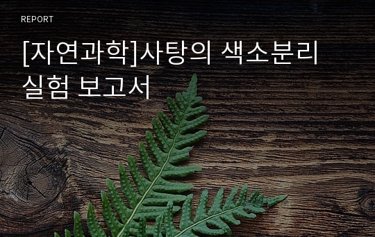 [자연과학]사탕의 색소분리 실험 보고서