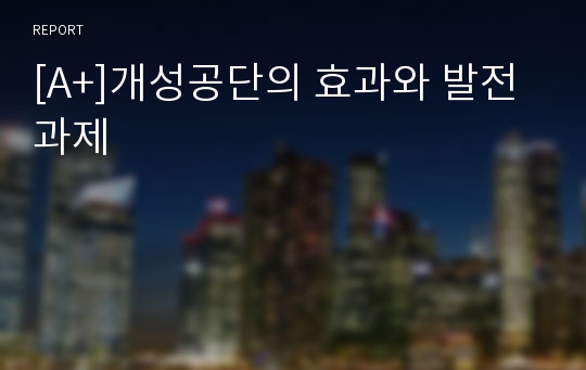 [A+]개성공단의 효과와 발전과제