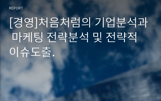 [경영]처음처럼의 기업분석과 마케팅 전략분석 및 전략적 이슈도출.