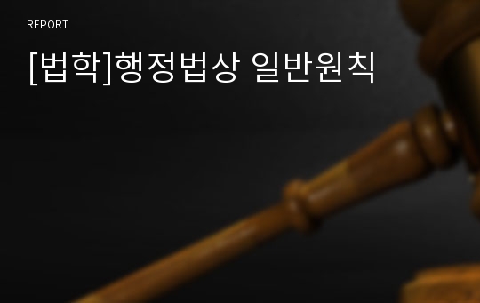 [법학]행정법상 일반원칙