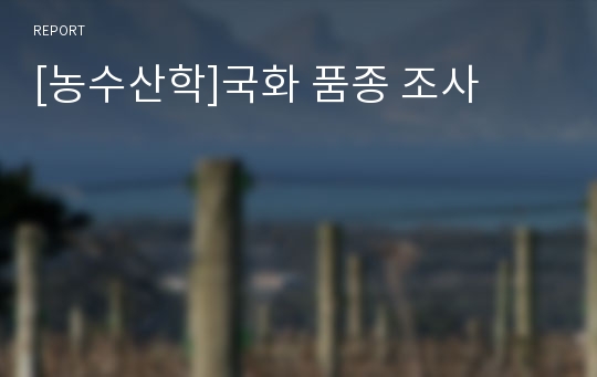 [농수산학]국화 품종 조사