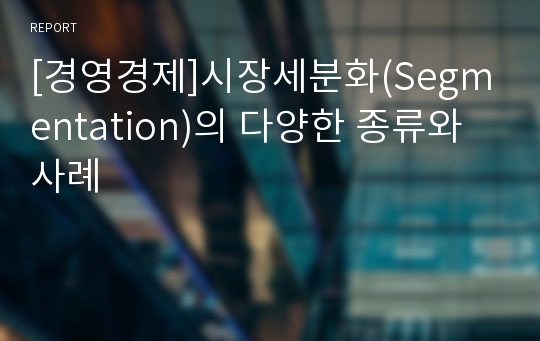 [경영경제]시장세분화(Segmentation)의 다양한 종류와 사례