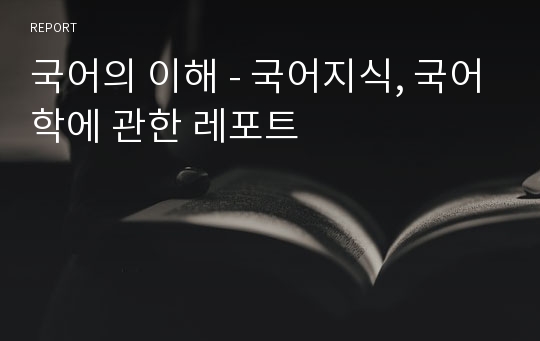 국어의 이해 - 국어지식, 국어학에 관한 레포트