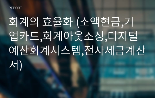 회계의 효율화 (소액현금,기업카드,회계아웃소싱,디지털 예산회계시스템,전사세금계산서)