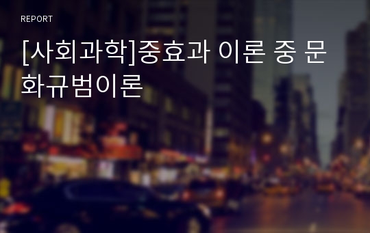 [사회과학]중효과 이론 중 문화규범이론