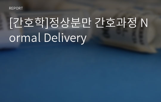 [간호학]정상분만 간호과정 Normal Delivery