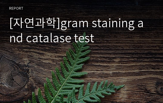 [자연과학]gram staining and catalase test