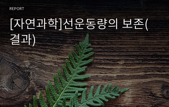 [자연과학]선운동량의 보존(결과)