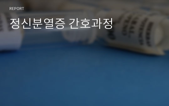 정신분열증 간호과정