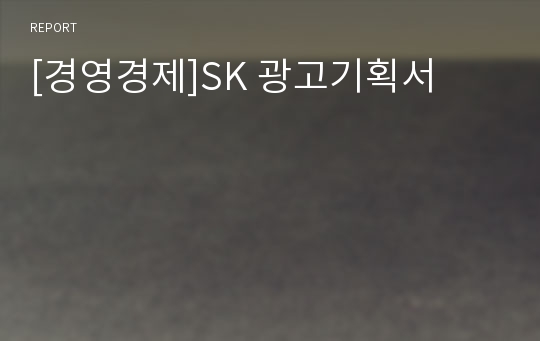 [경영경제]SK 광고기획서