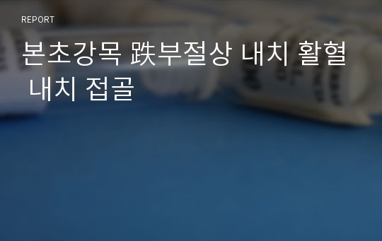 본초강목 跌부절상 내치 활혈 내치 접골