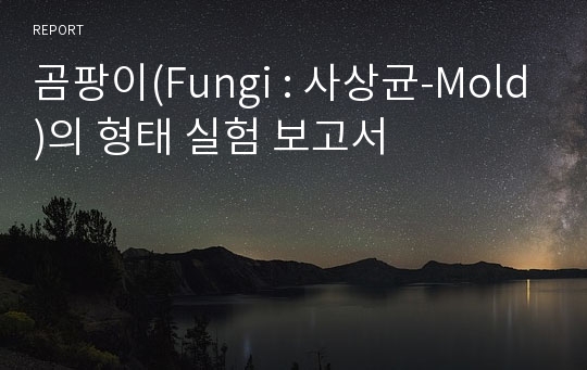 곰팡이(Fungi : 사상균-Mold)의 형태 실험 보고서