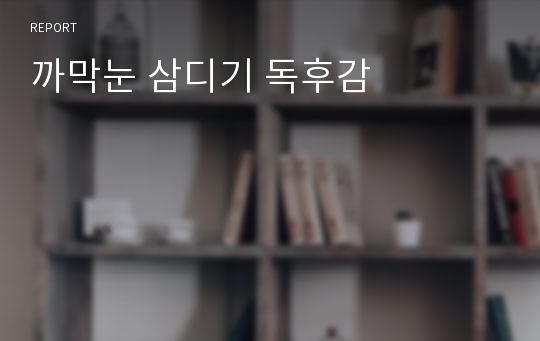 까막눈 삼디기 독후감