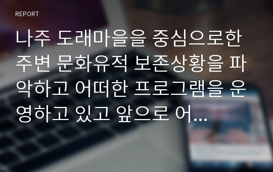 나주 도래마을을 중심으로한 주변 문화유적 보존상황을 파악하고 어떠한 프로그램을 운영하고 있고 앞으로 어떠해야하는지를 제시한 보고서