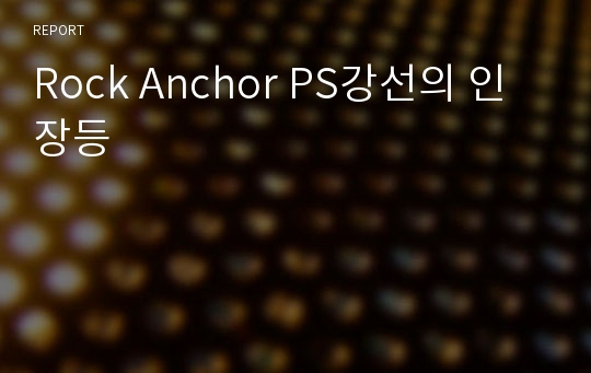 Rock Anchor PS강선의 인장등