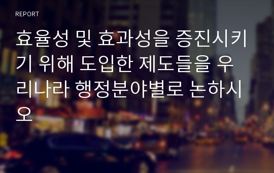 효율성 및 효과성을 증진시키기 위해 도입한 제도들을 우리나라 행정분야별로 논하시오