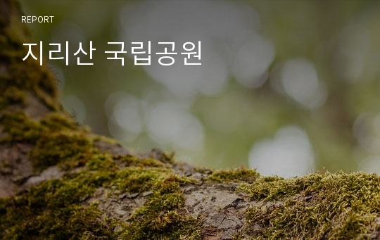 지리산 국립공원