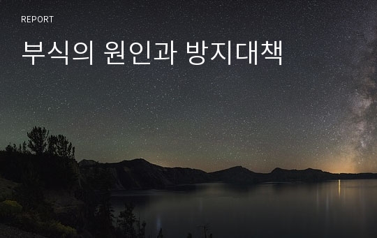 부식의 원인과 방지대책