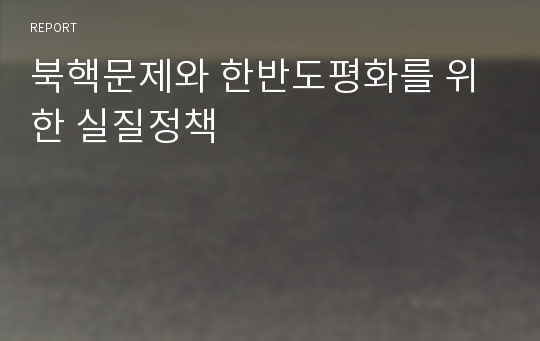 북핵문제와 한반도평화를 위한 실질정책