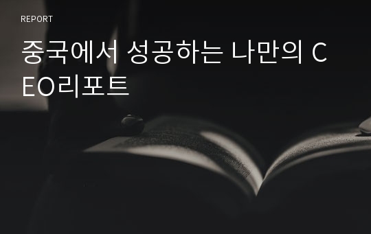 중국에서 성공하는 나만의 CEO리포트