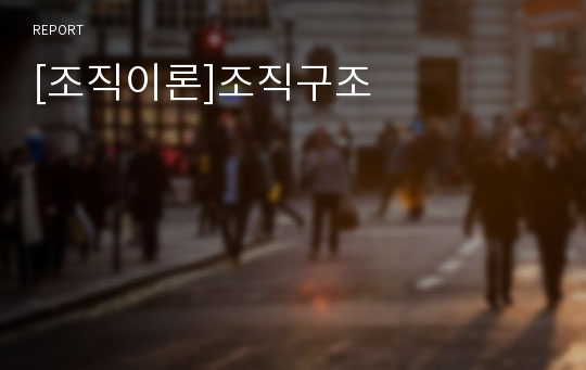 [조직이론]조직구조