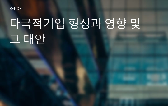 다국적기업 형성과 영향 및 그 대안