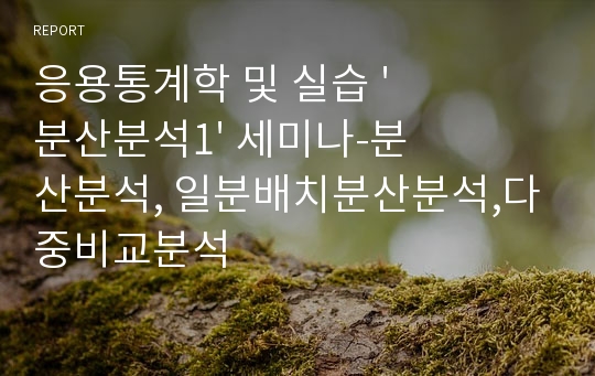 응용통계학 및 실습 &#039;분산분석1&#039; 세미나-분산분석, 일분배치분산분석,다중비교분석