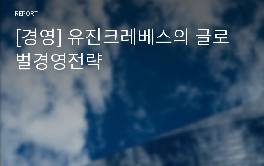 [경영] 유진크레베스의 글로벌경영전략