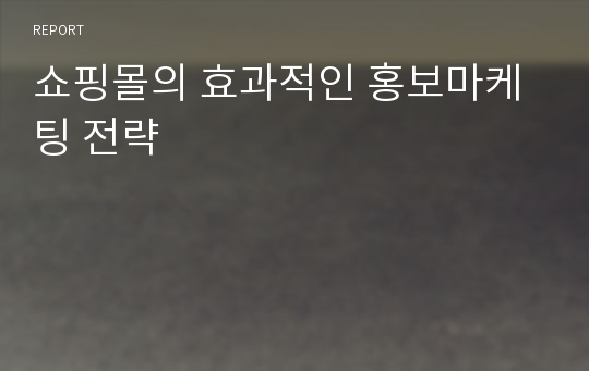 쇼핑몰의 효과적인 홍보마케팅 전략