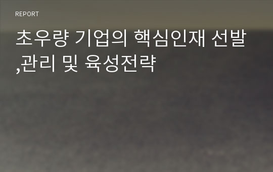 초우량 기업의 핵심인재 선발,관리 및 육성전략