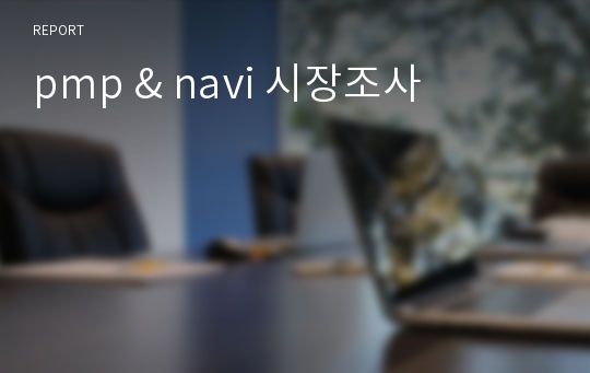 pmp &amp; navi 시장조사