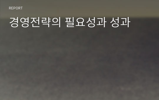 경영전략의 필요성과 성과