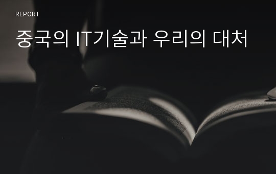 중국의 IT기술과 우리의 대처