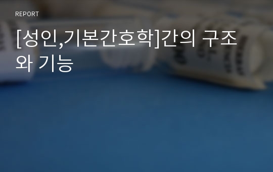 [성인,기본간호학]간의 구조와 기능