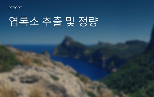 엽록소 추출 및 정량