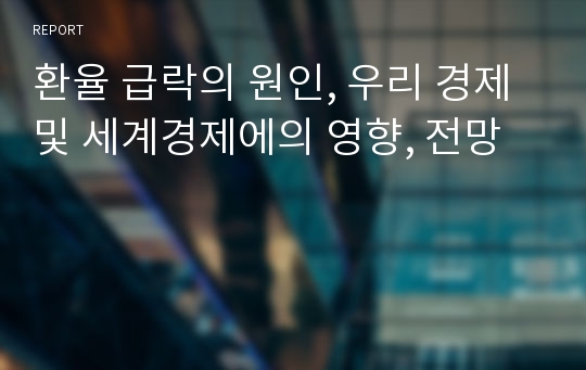 환율 급락의 원인, 우리 경제 및 세계경제에의 영향, 전망