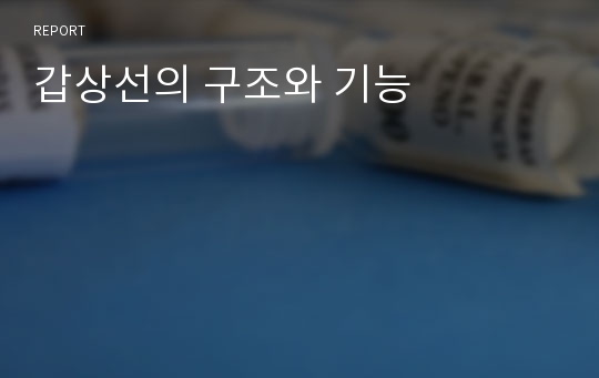 갑상선의 구조와 기능