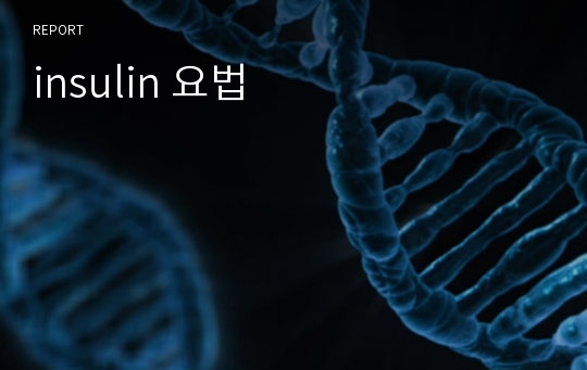 insulin 요법