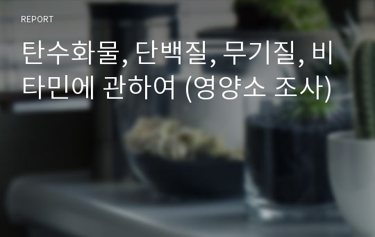 탄수화물, 단백질, 무기질, 비타민에 관하여 (영양소 조사)