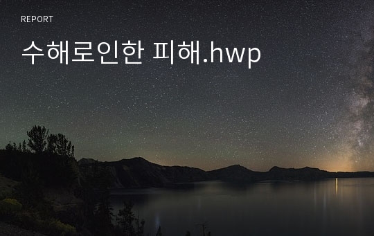 수해로인한 피해.hwp