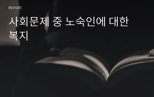 사회문제 중 노숙인에 대한 복지