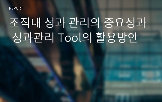 조직내 성과 관리의 중요성과 성과관리 Tool의 활용방안